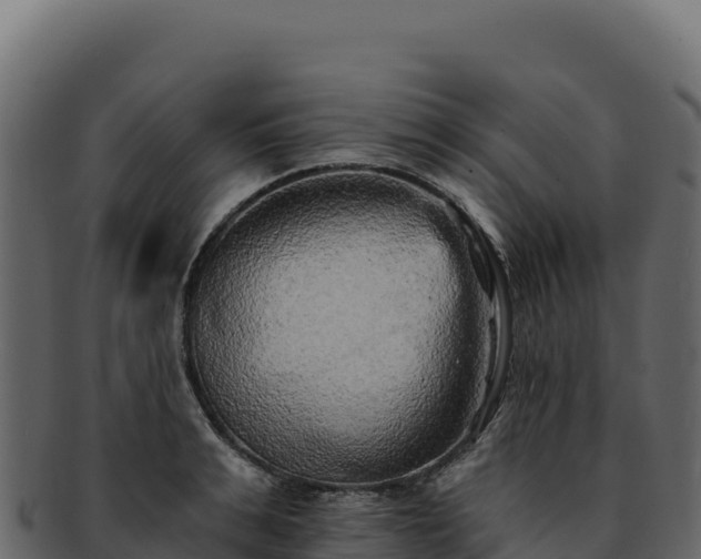 X0000092300991200710041444