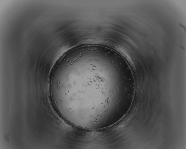 X0000092300992200710041444