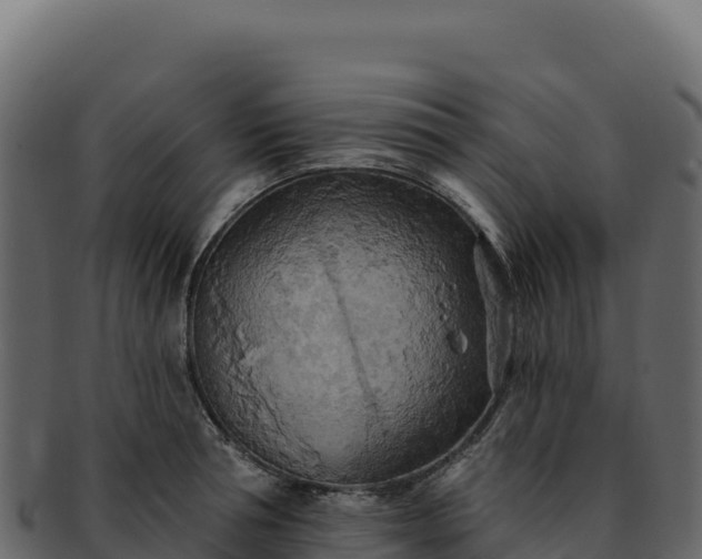 X0000092300994200710041444