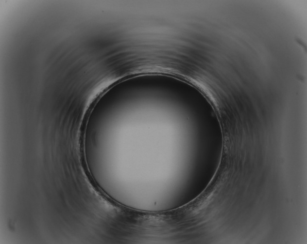 X0000092300995200710041444