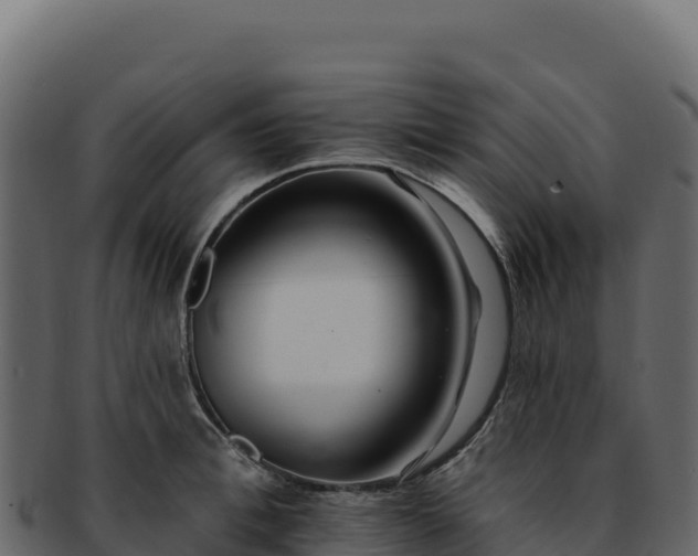 X0000092300996200710041444