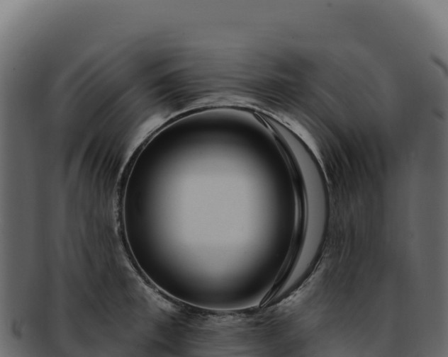 X0000092300997200710041444