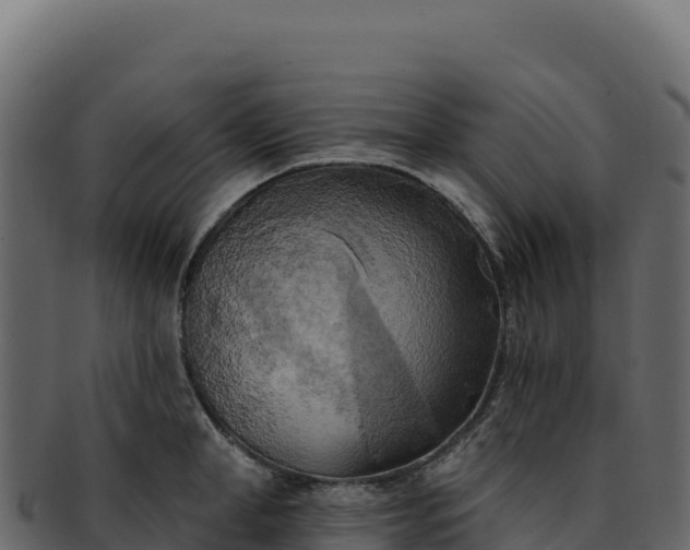 X0000092300998200710041444