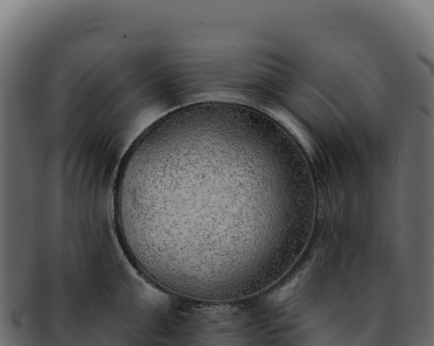 X0000092300999200710041444