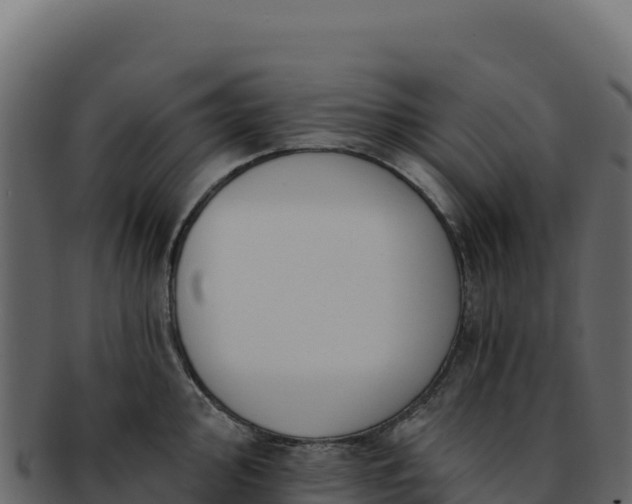 X0000092301000200710041444