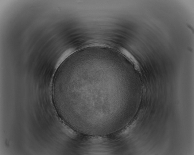 X0000092301002200710041444