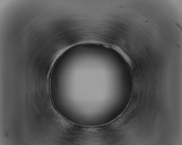 X0000092301004200710041444