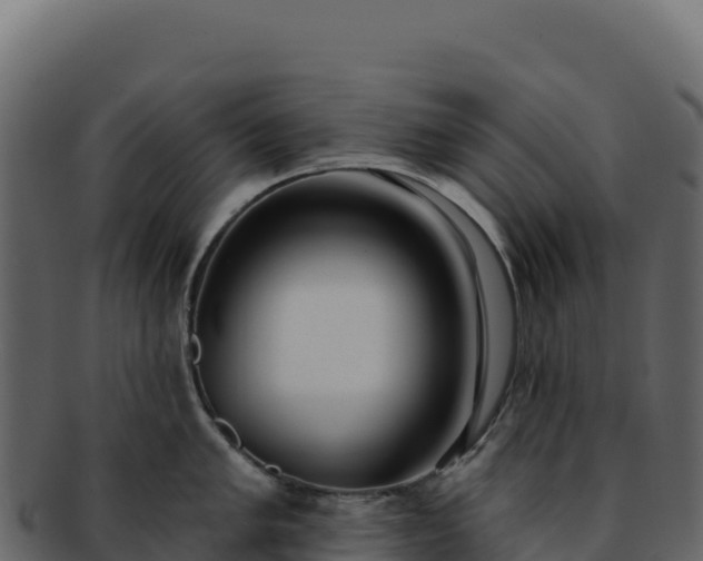 X0000092301005200710041444