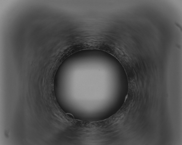 X0000092301009200710041443