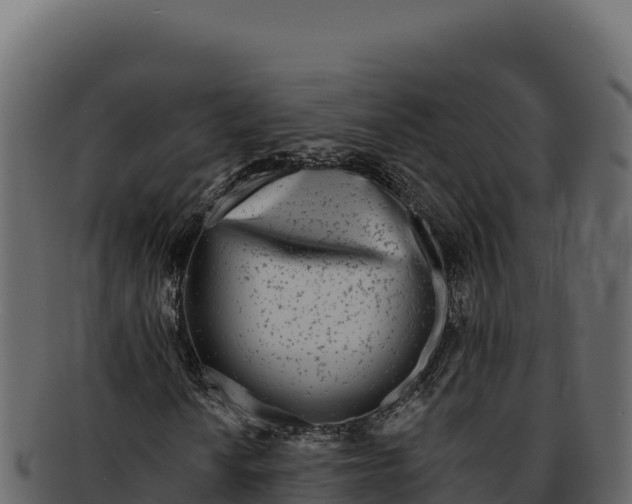 X0000092301010200710041443