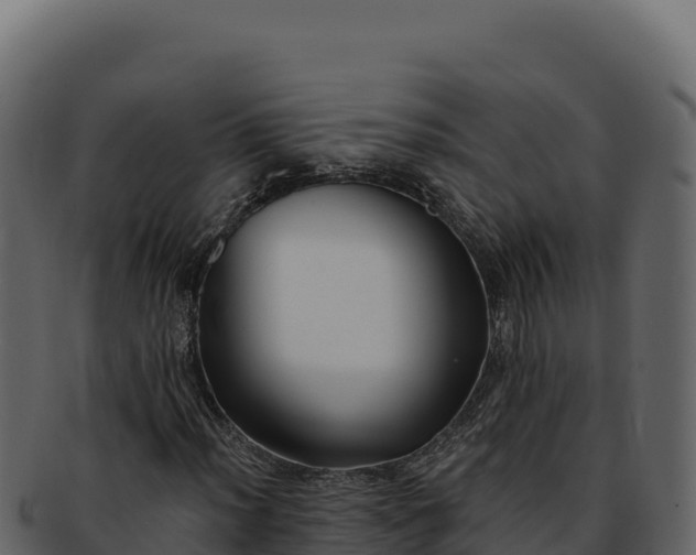 X0000092301012200710041443