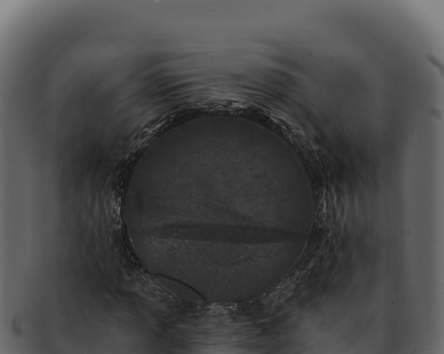 X0000092301013200710041443