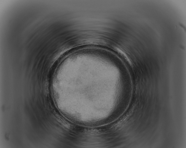 X0000092301019200710041443