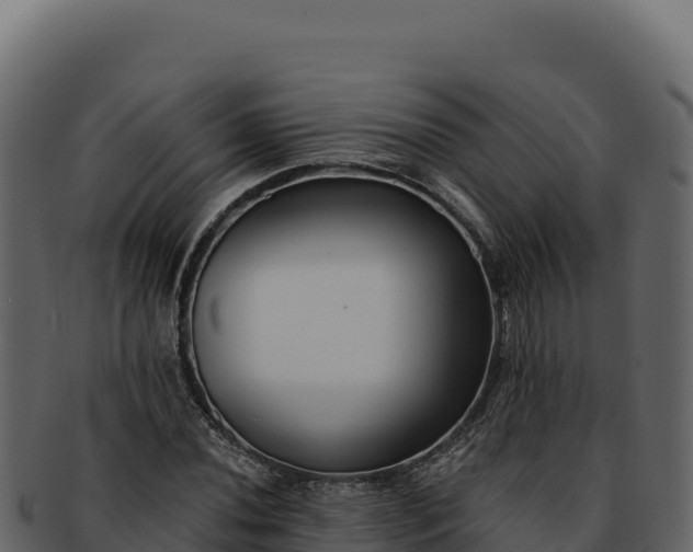 X0000092301020200710041443