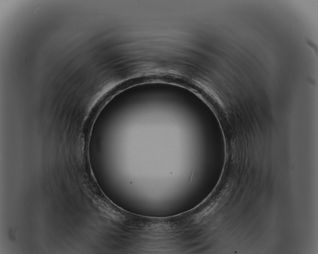 X0000092301021200710041443