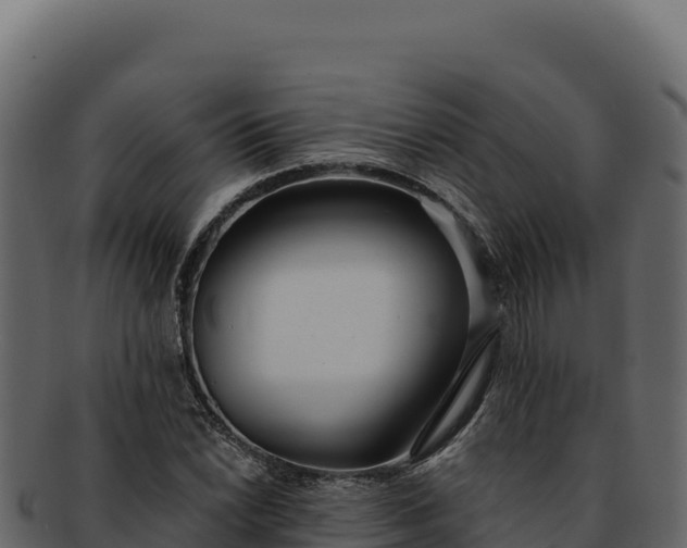 X0000092301022200710041443