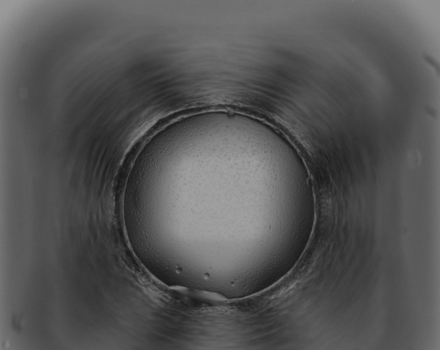 X0000092301023200710041443