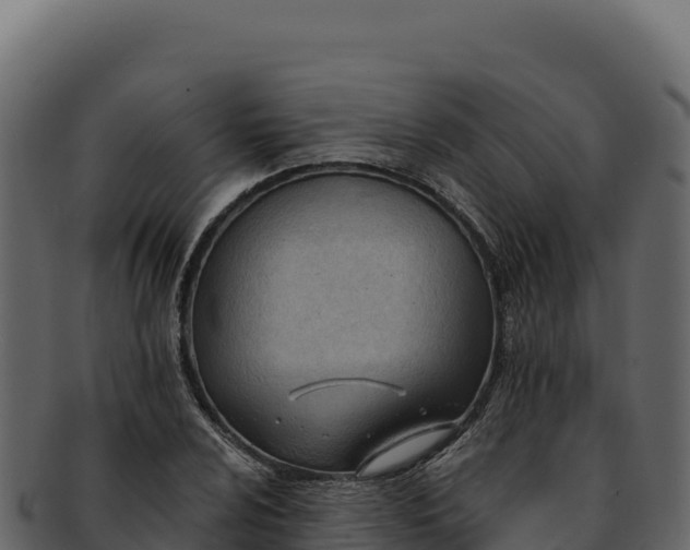 X0000092301024200710041443