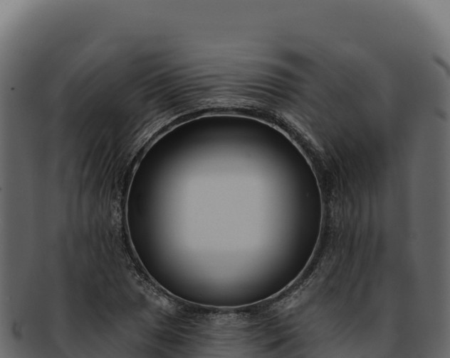 X0000092301025200710041443