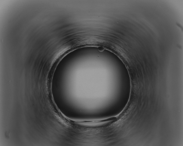 X0000092301026200710041443