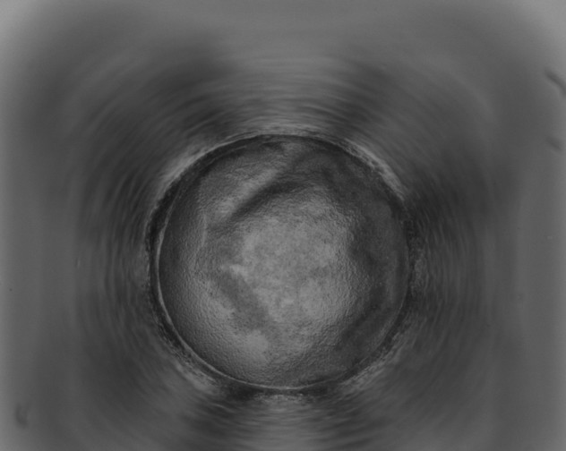 X0000092301027200710041443