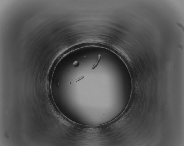 X0000092301029200710041443