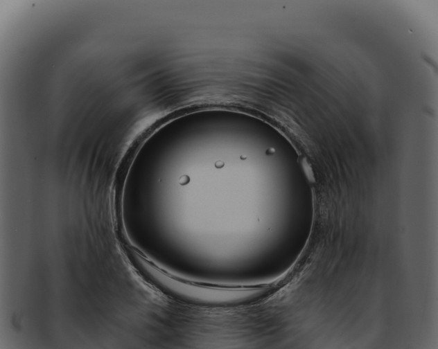 X0000092301030200710041443