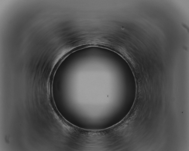 X0000092301032200710041444