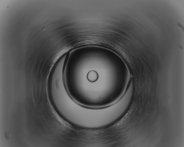 X0000092301034200710041444