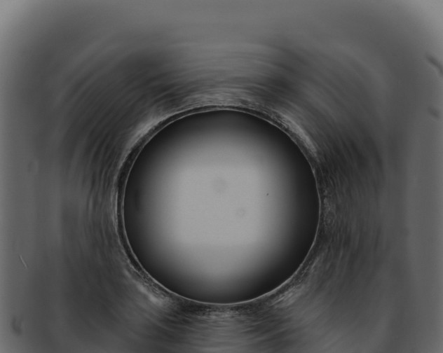 X0000092301035200710041444