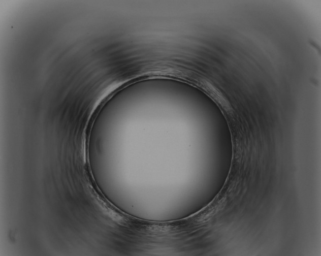 X0000092301036200710041444