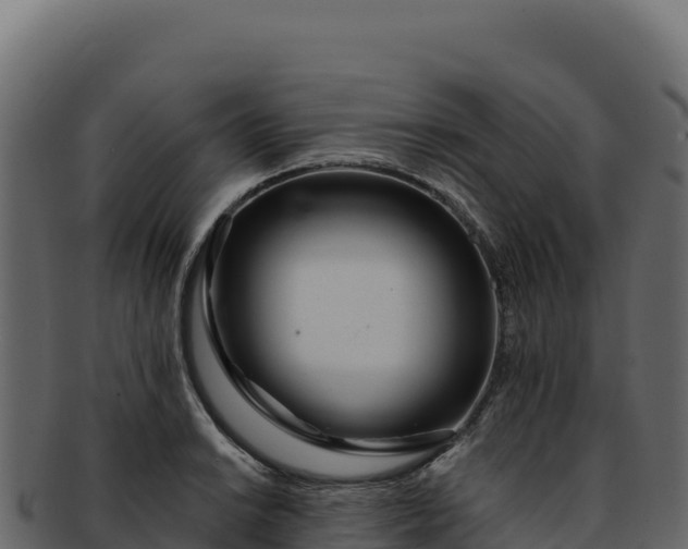 X0000092301038200710041444