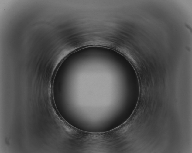 X0000092301040200710041444