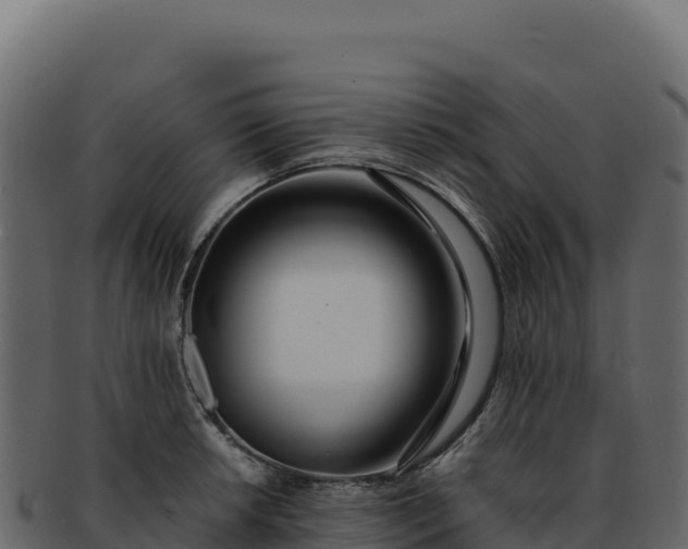 X0000092301042200710041444