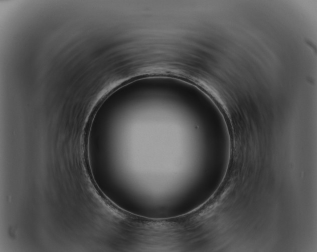 X0000092301045200710041444