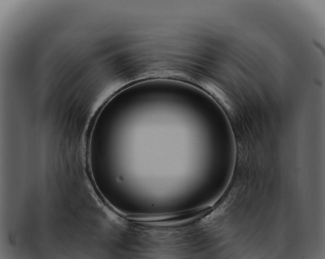 X0000092301046200710041444