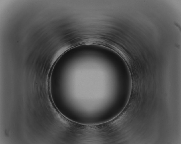 X0000092301050200710041444