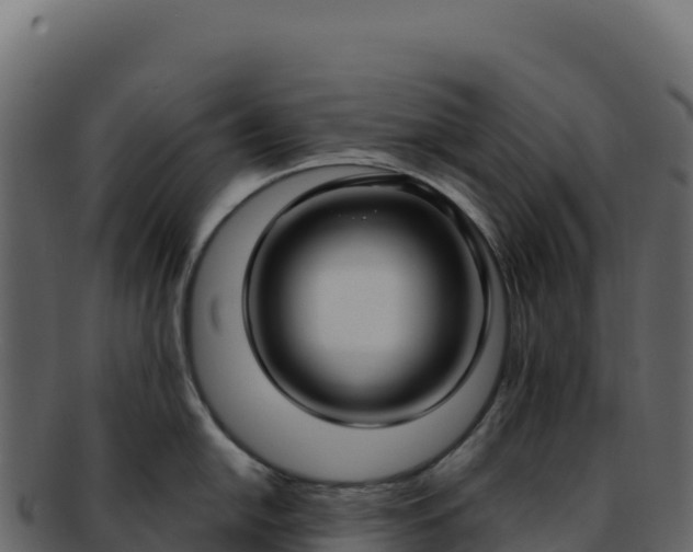 X0000092301054200710041444