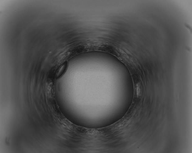 X0000092301059200710041443