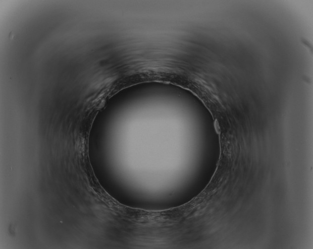 X0000092301061200710041443