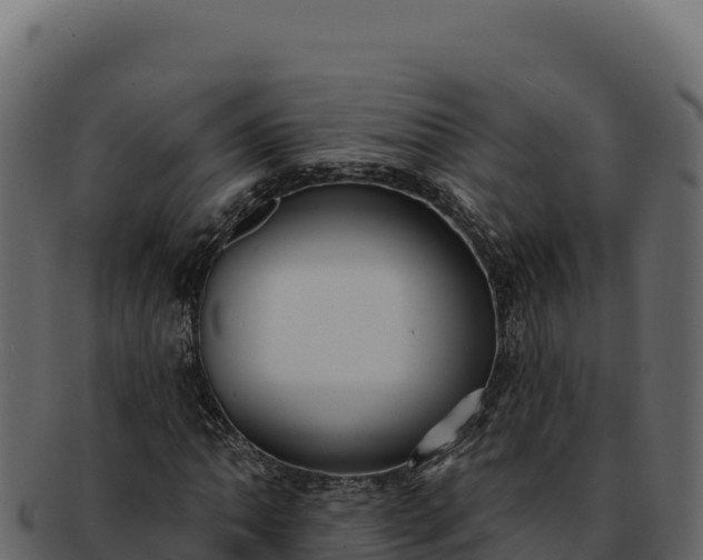 X0000092301062200710041443