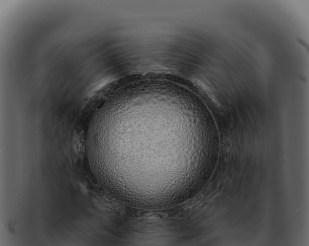 X0000092301063200710041443