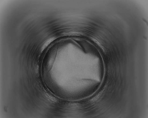 X0000092301066200710041443