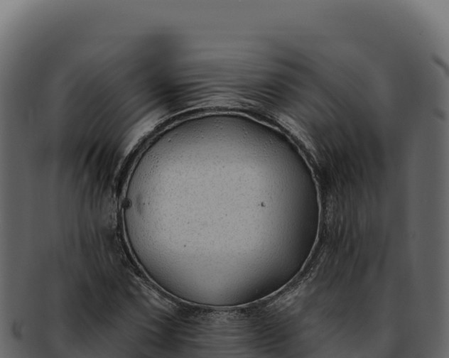 X0000092301067200710041443