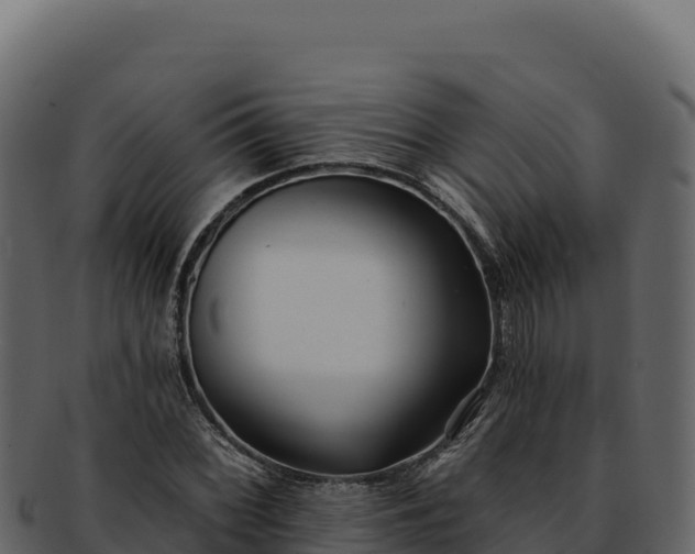 X0000092301068200710041443