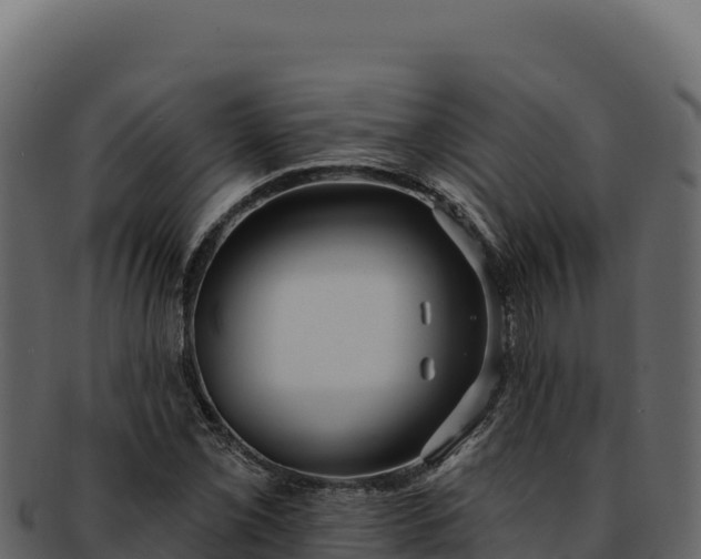 X0000092301069200710041443