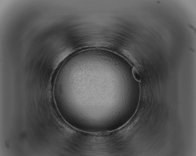 X0000092301071200710041443