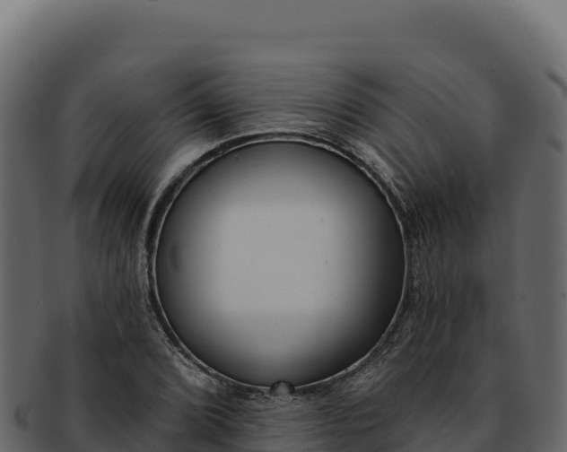 X0000092301072200710041443