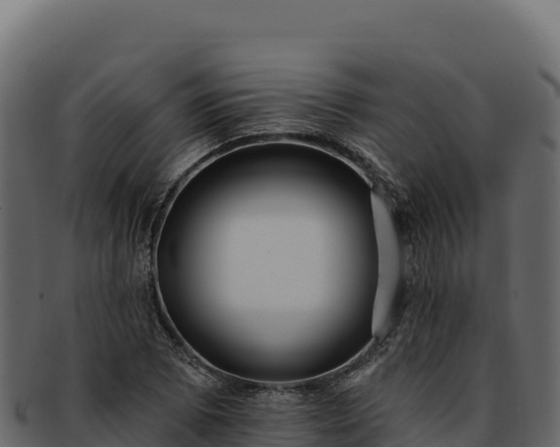 X0000092301073200710041443