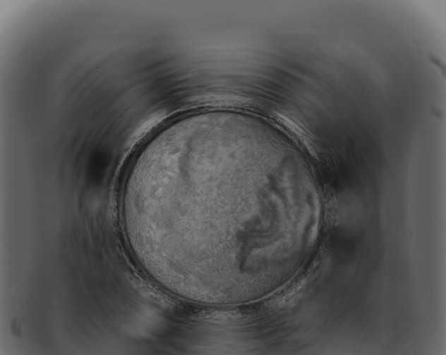 X0000092301074200710041443